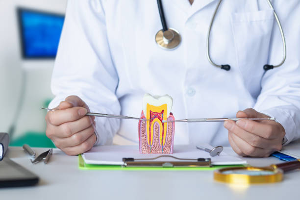 Best After-Hours Emergency Dentist in Olive Branch, MS